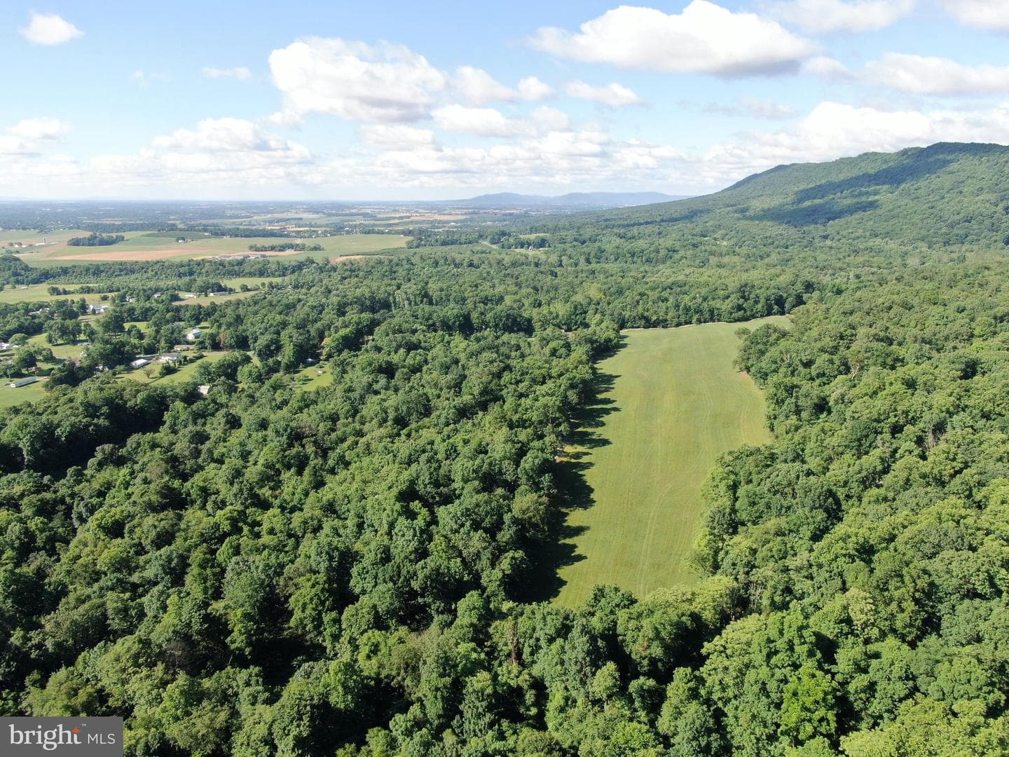 Tract 1: 56+/- Acres At 9611 Circle Drive photo 23