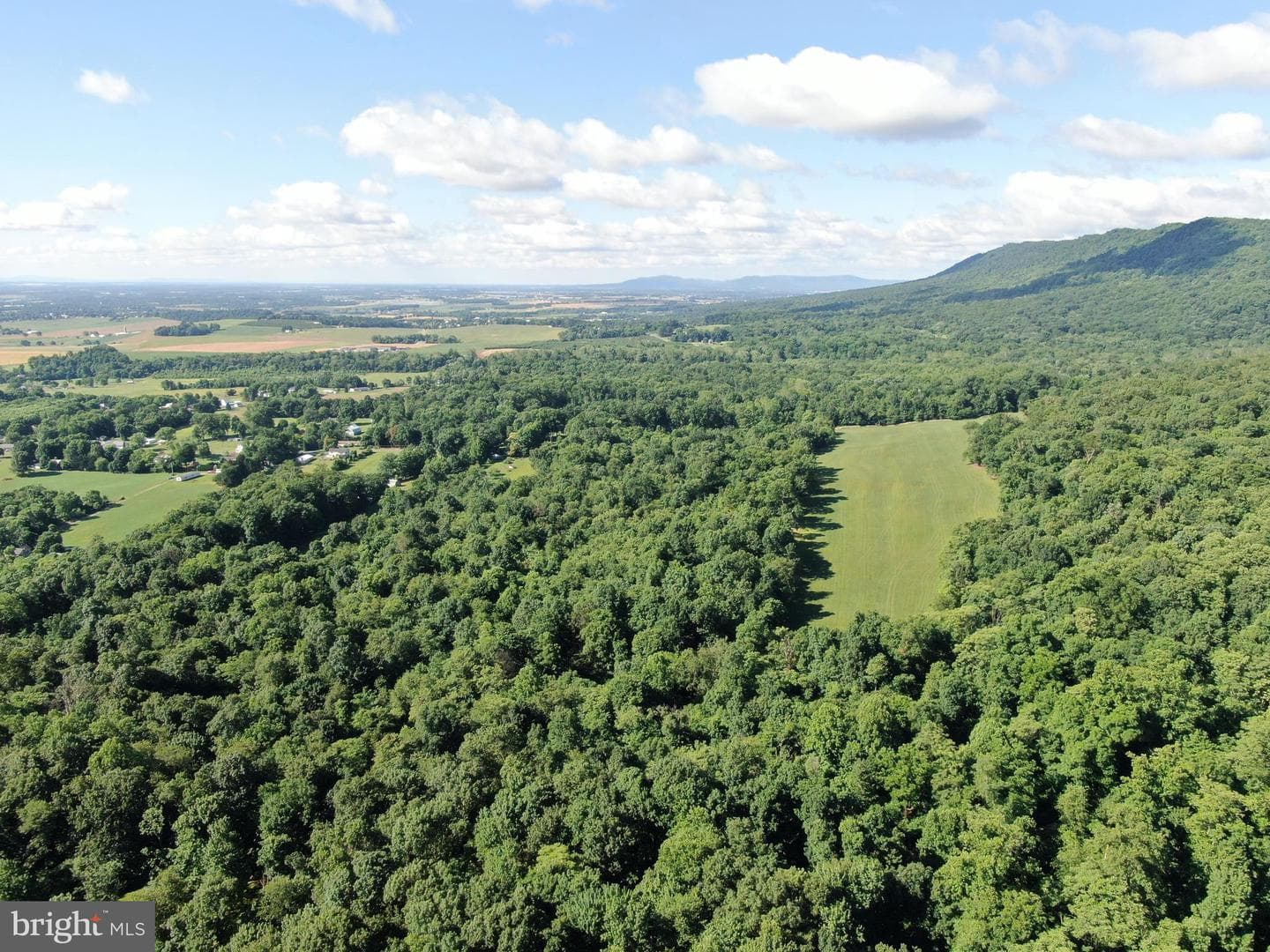 Tract 1: 56+/- Acres At 9611 Circle Drive photo 24