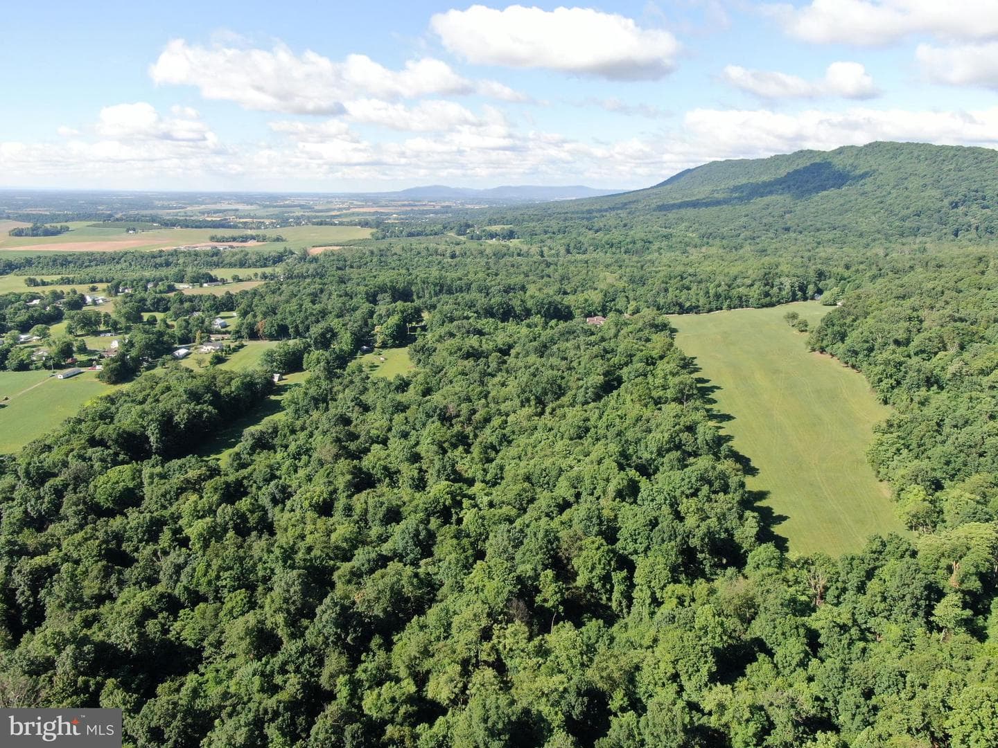 Tract 1: 56+/- Acres At 9611 Circle Drive photo 25