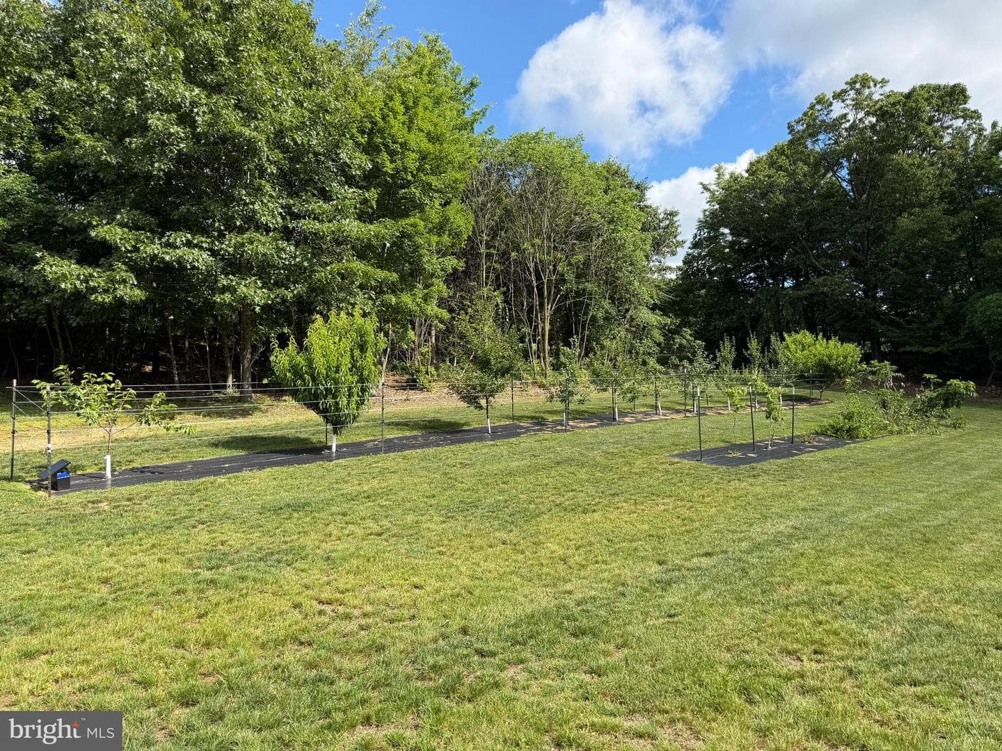 Tract 1: 56+/- Acres At 9611 Circle Drive photo 32