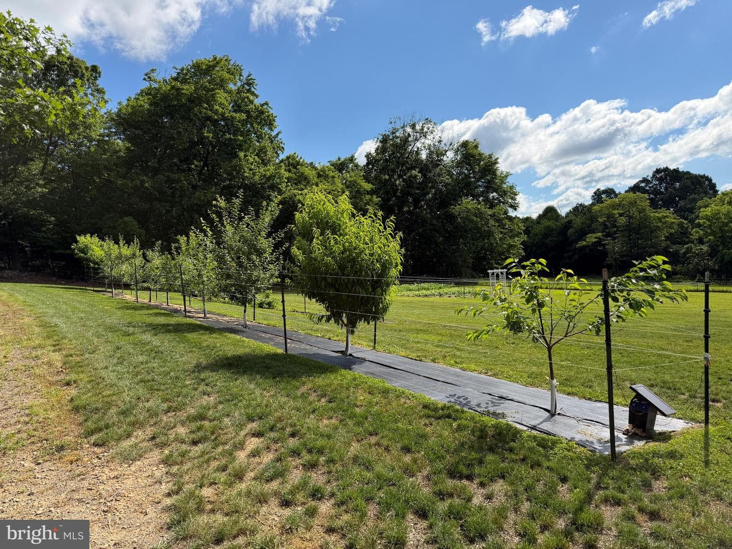 Tract 1: 56+/- Acres At 9611 Circle Drive photo 33