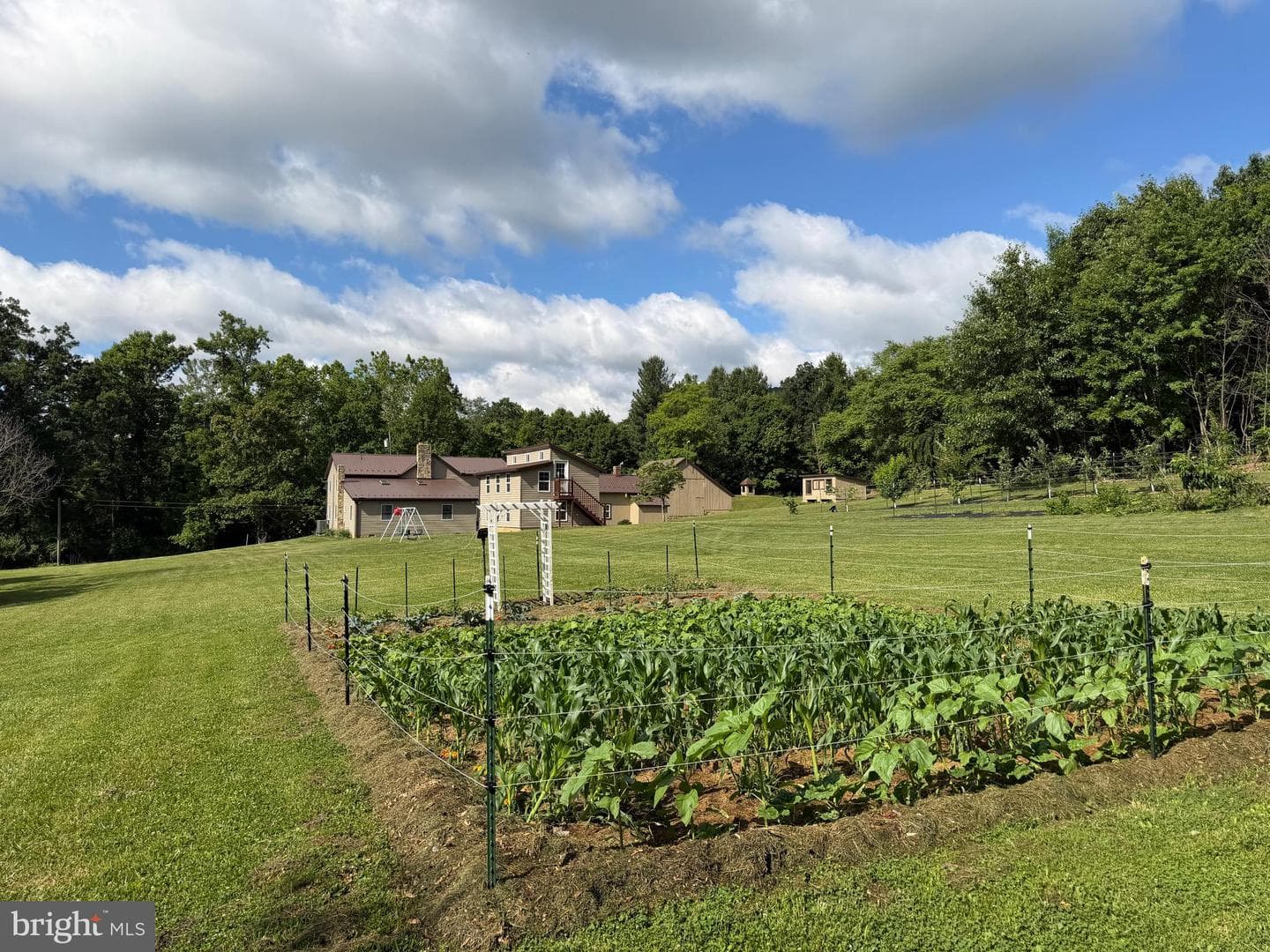 Tract 1: 56+/- Acres At 9611 Circle Drive photo 35