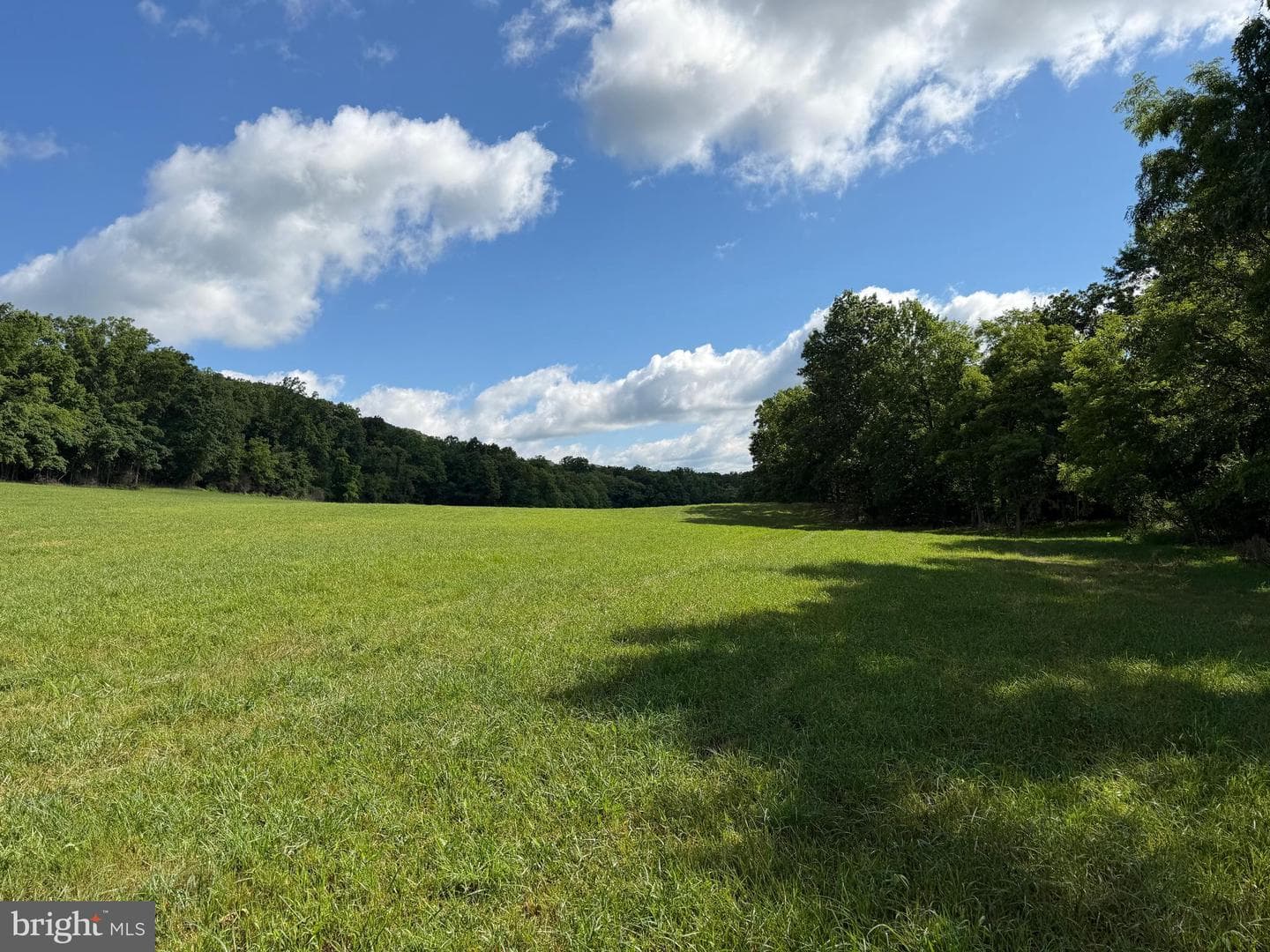Tract 1: 56+/- Acres At 9611 Circle Drive photo 36