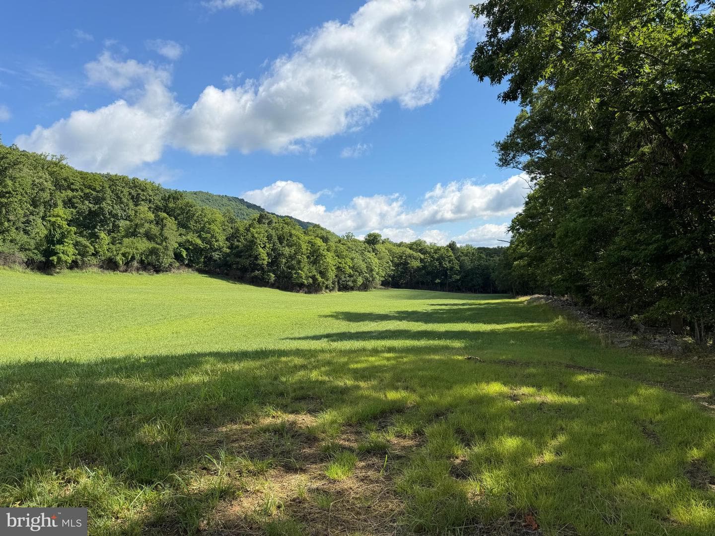 Tract 1: 56+/- Acres At 9611 Circle Drive photo 37