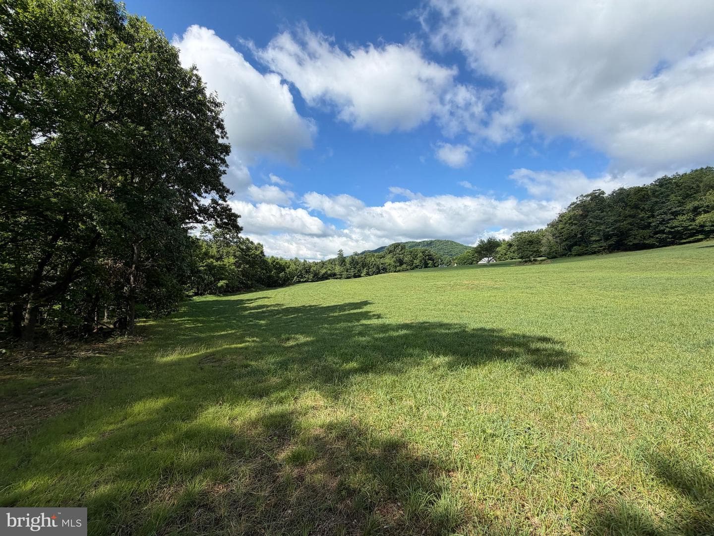 Tract 1: 56+/- Acres At 9611 Circle Drive photo 38