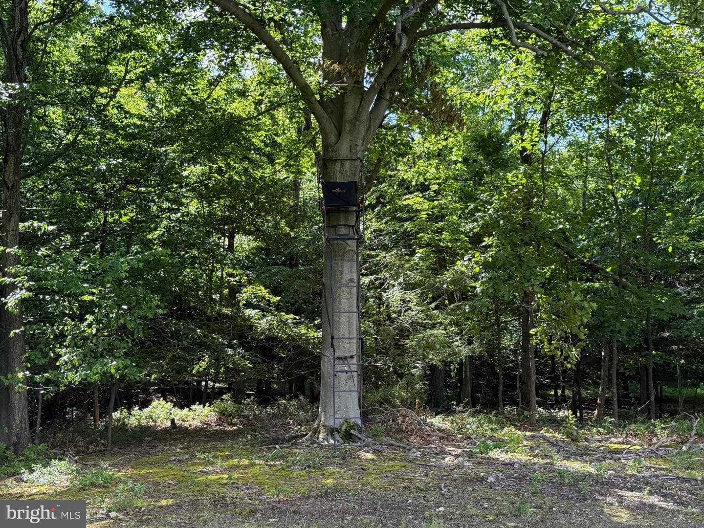 Tract 1: 56+/- Acres At 9611 Circle Drive photo 39