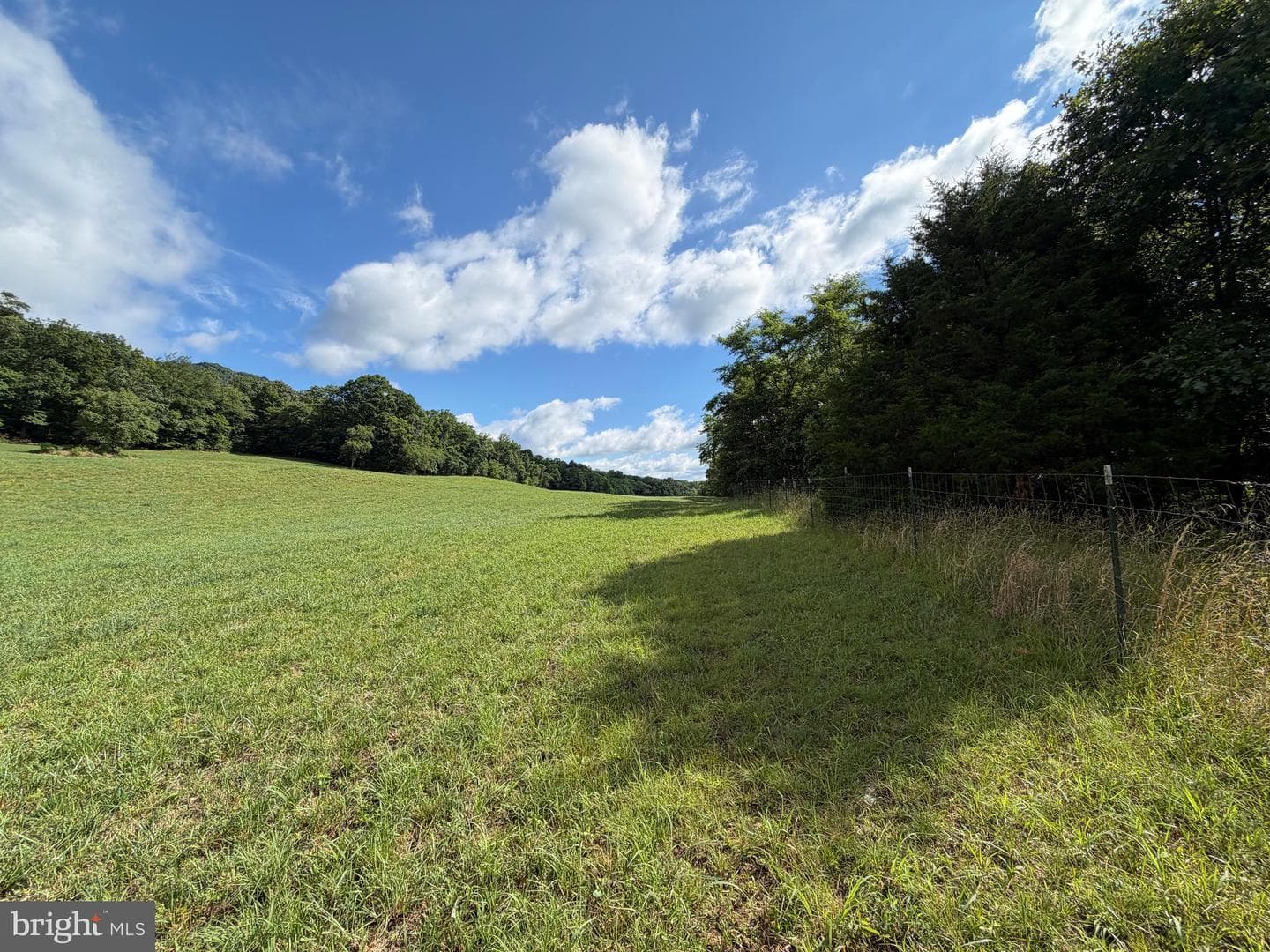 Tract 1: 56+/- Acres At 9611 Circle Drive photo 40