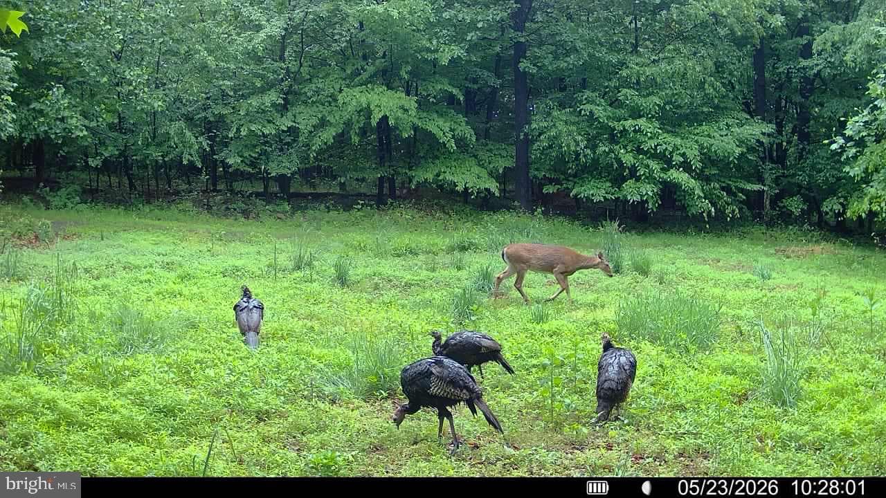 Tract 1: 56+/- Acres At 9611 Circle Drive photo 45