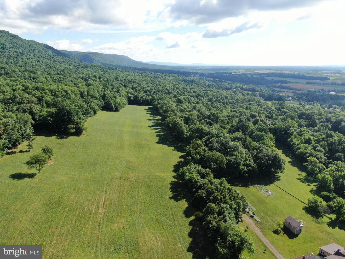 Tract 1: 56+/- Acres At 9611 Circle Drive photo 8