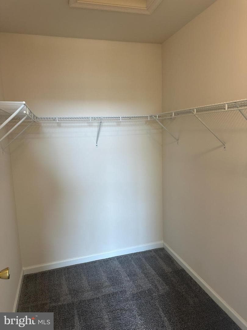 250 Meriweather Drive photo 11