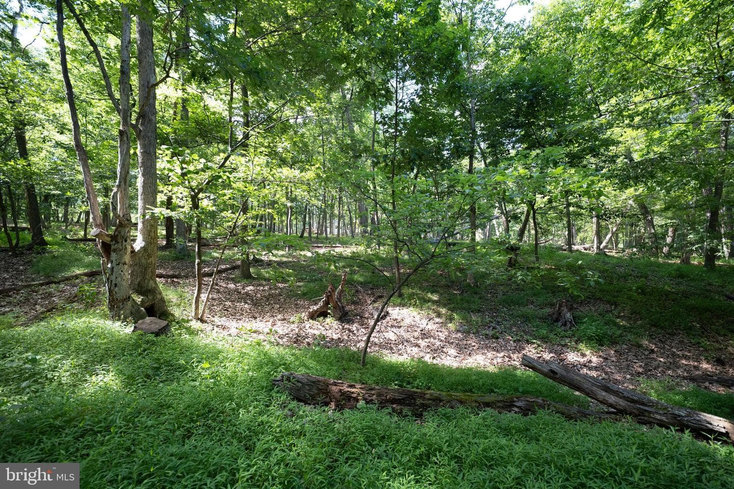 15880 Myers Drive photo 30