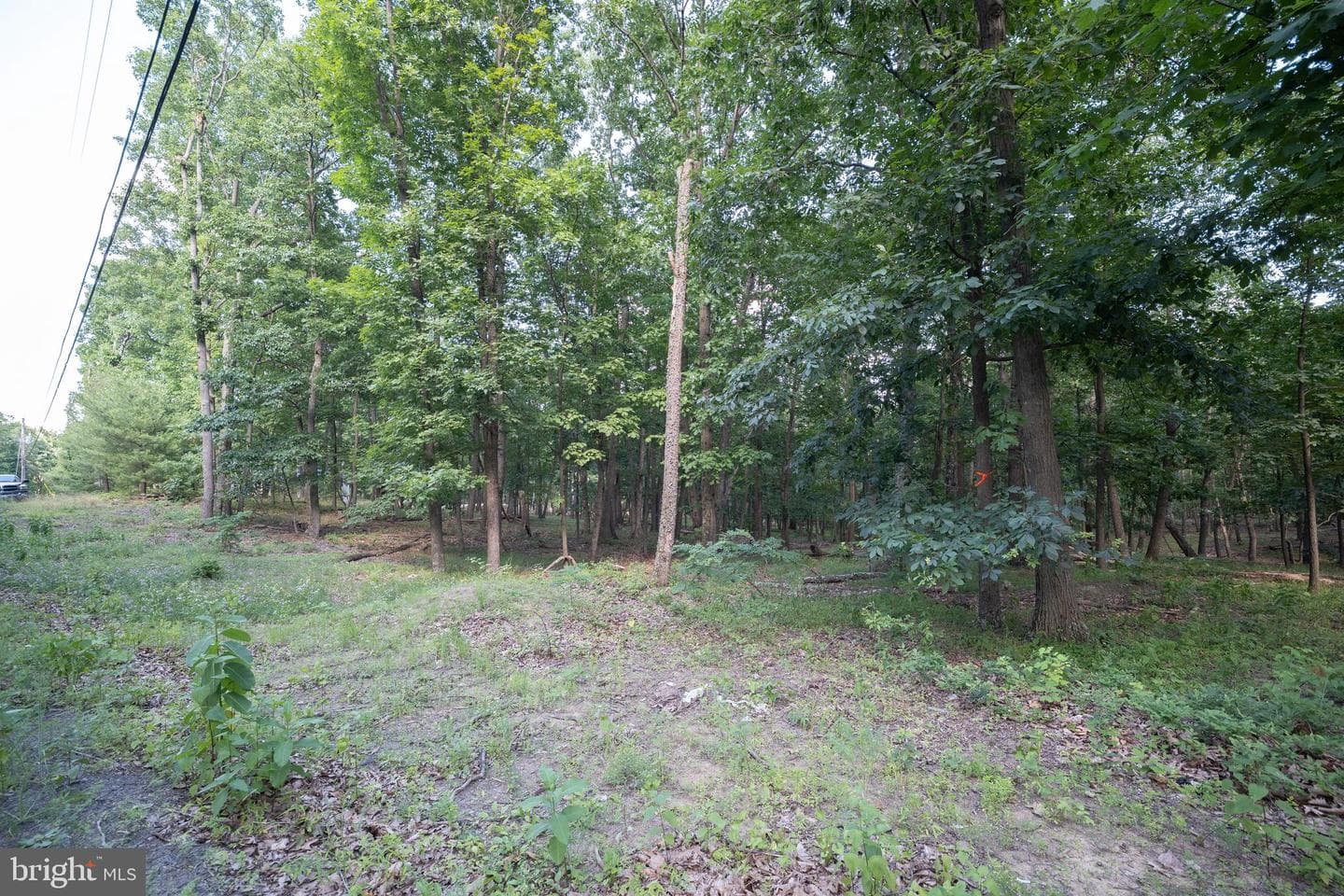 15880 Myers Drive photo 34
