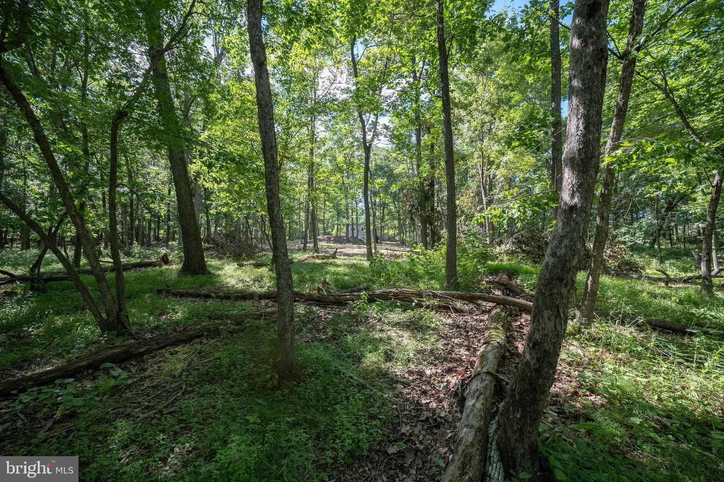 15880 Myers Drive photo 36