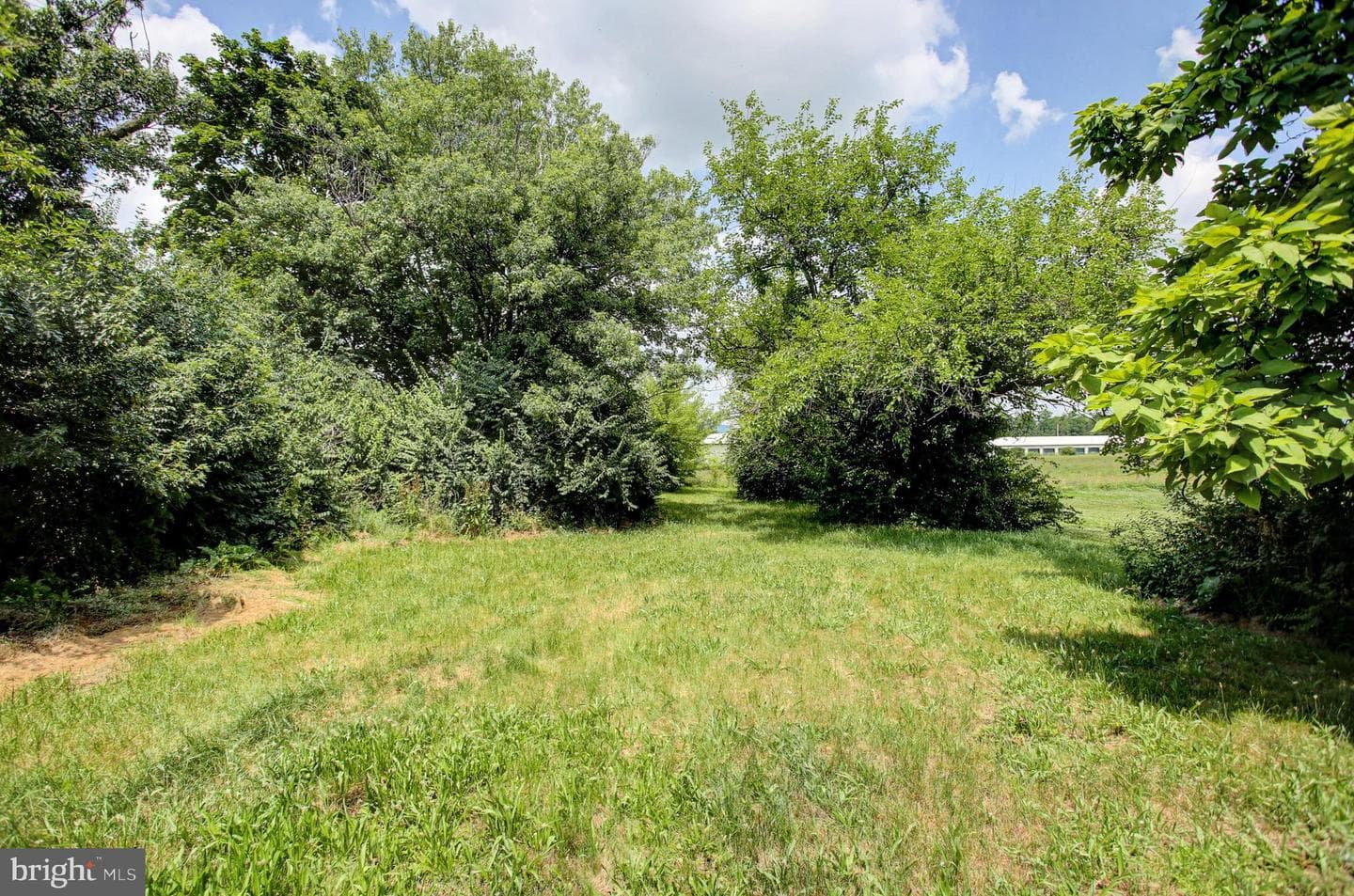 1811 Holly Lane photo 22