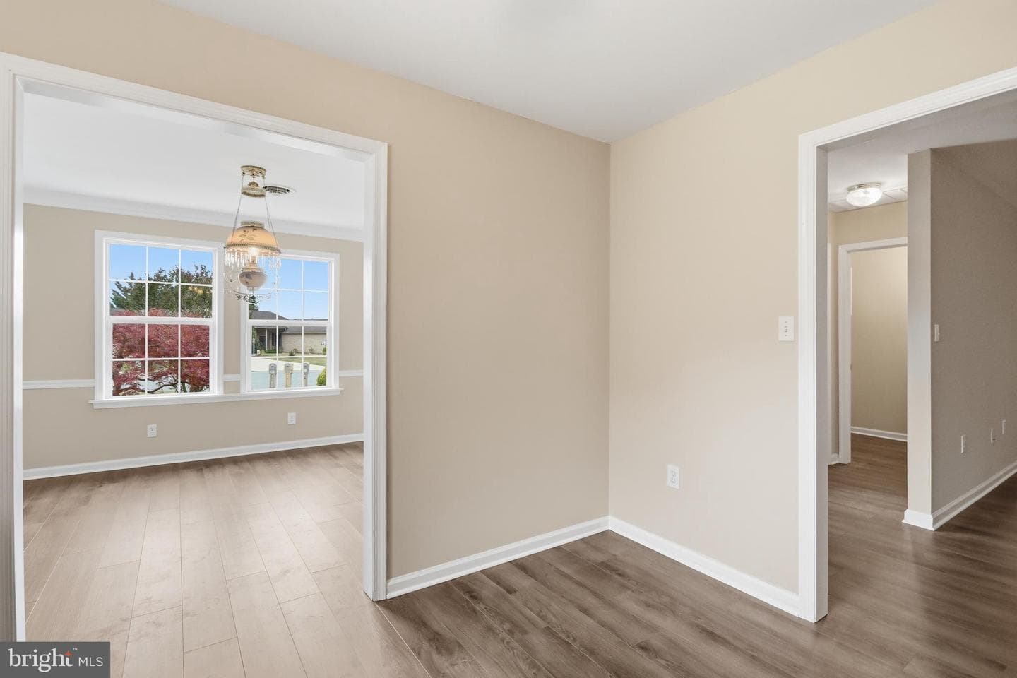 23 Homestead Drive photo 19
