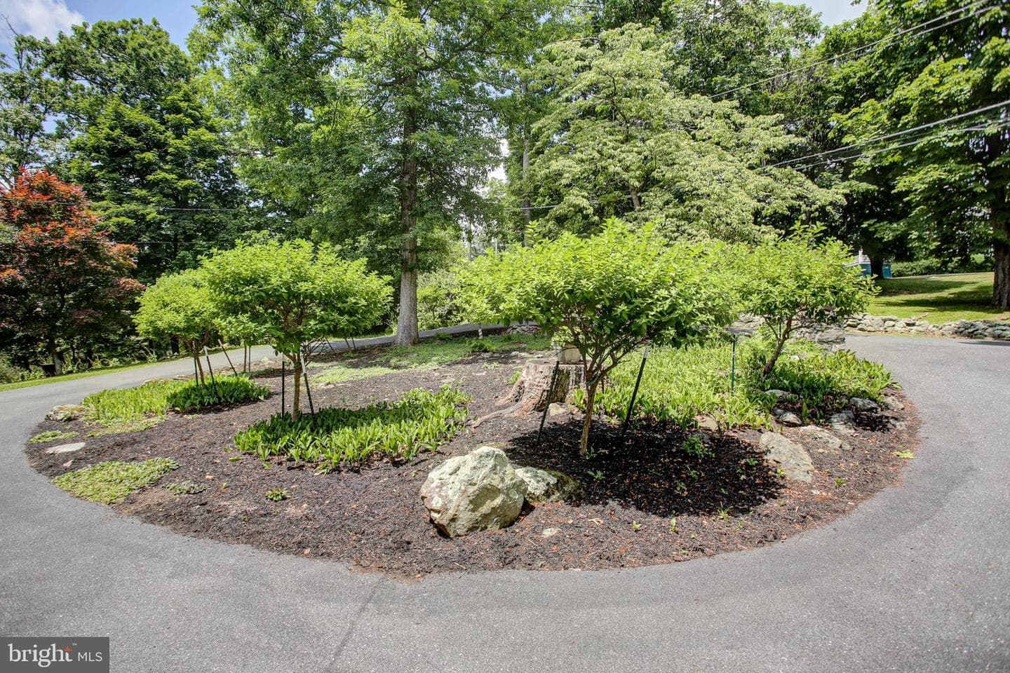 12494 Lower Monterey Cir photo 7
