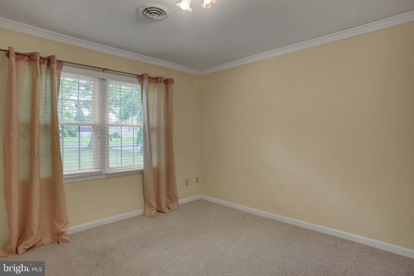 127 Chancellor Drive photo 23