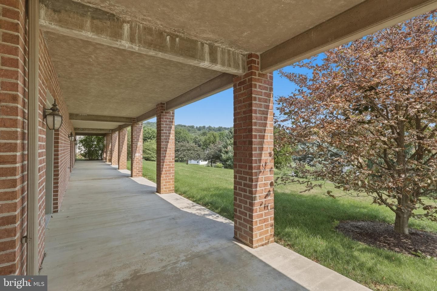 10785 Rinehart Drive photo 48
