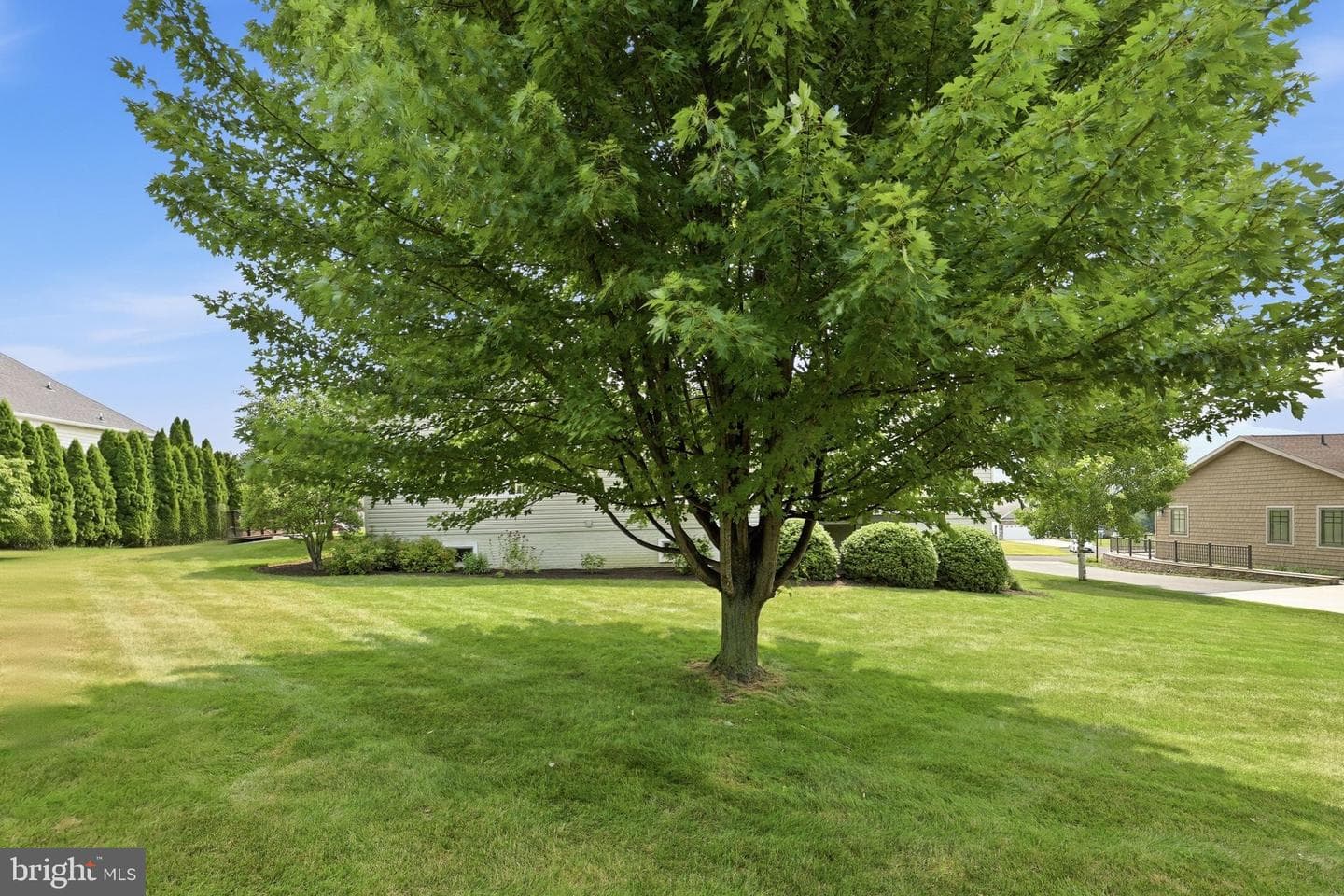 7132 Lone Ridge Court photo 49