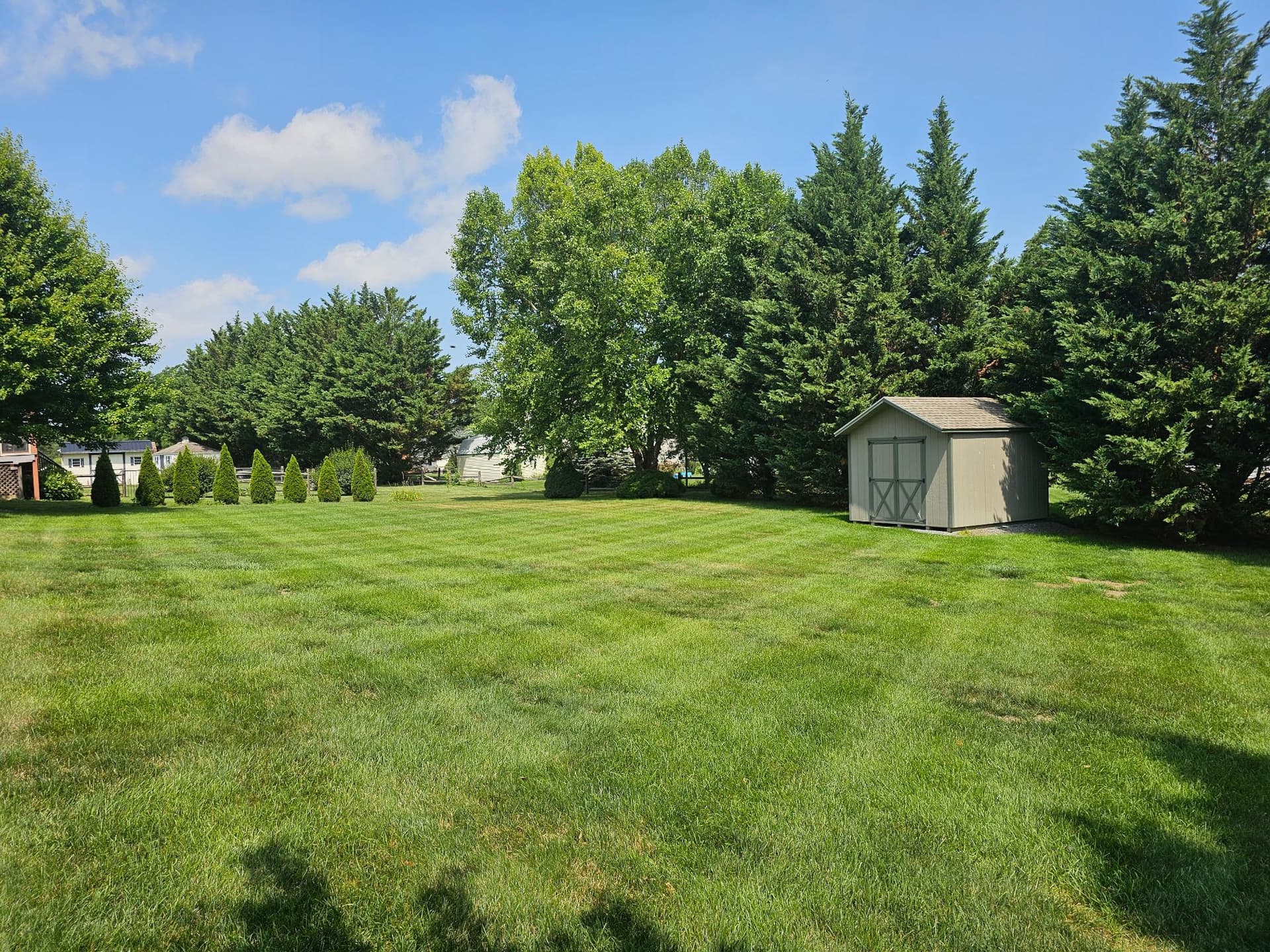 6437 Bellhurst Drive photo 3
