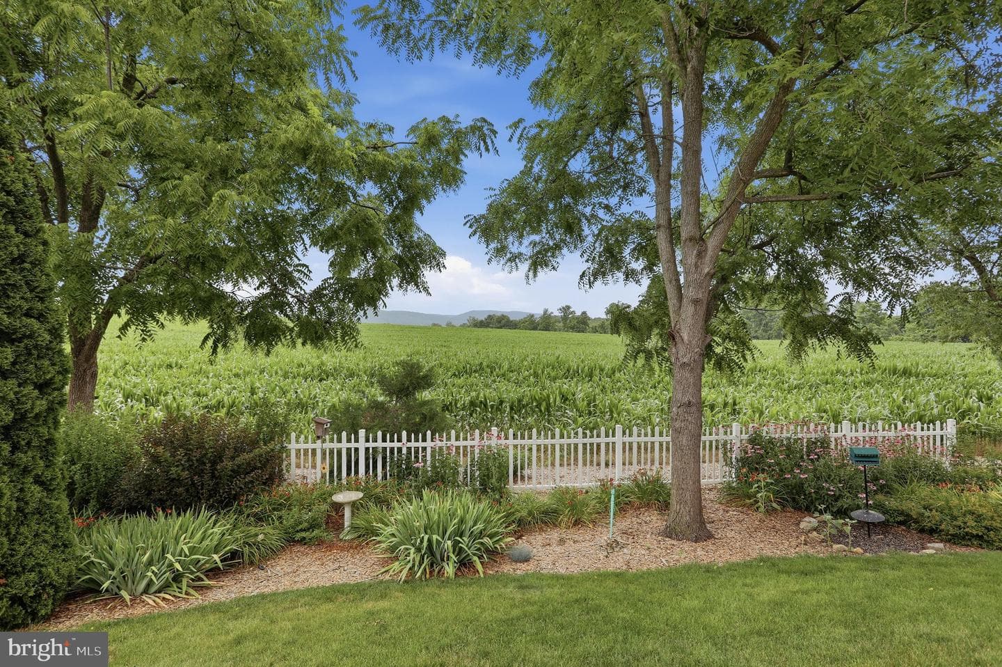 1071 Crestwood Drive photo 51