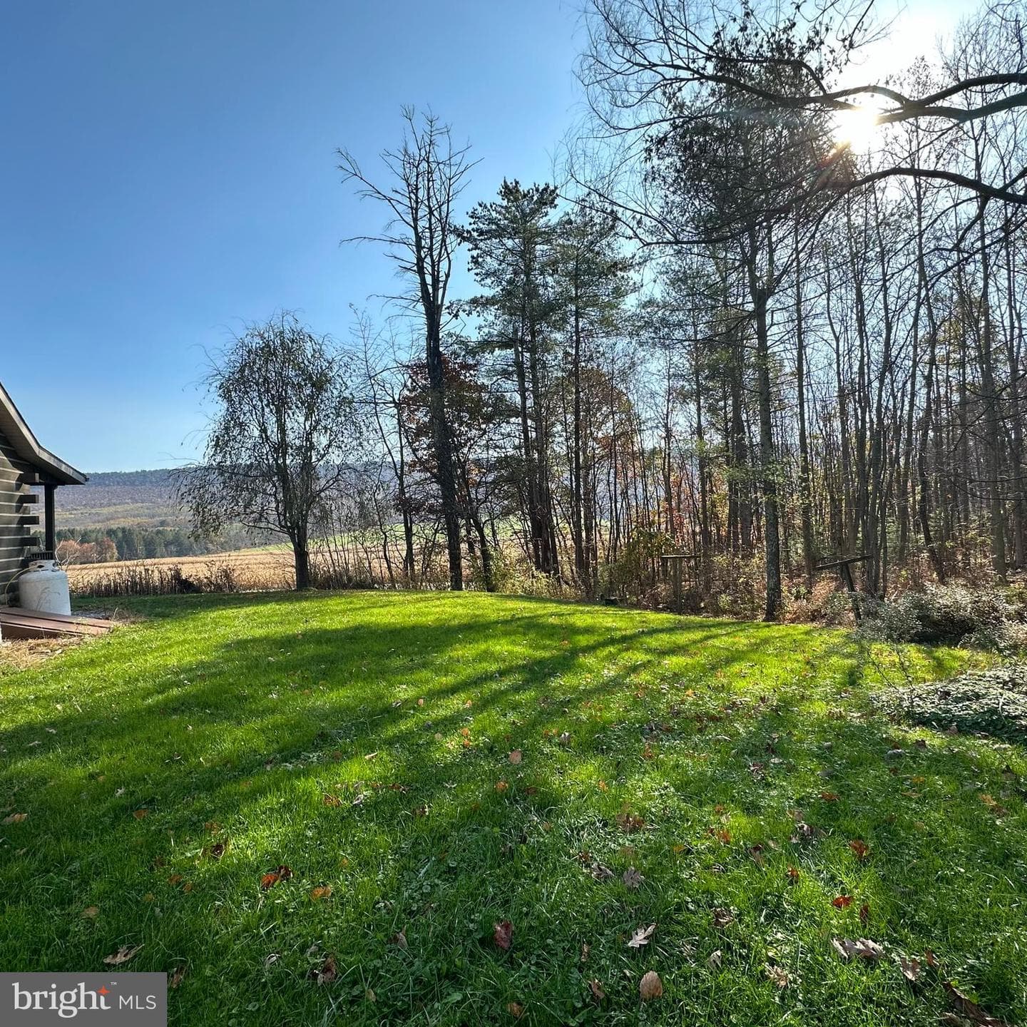 471 Blackberry Lane photo 11