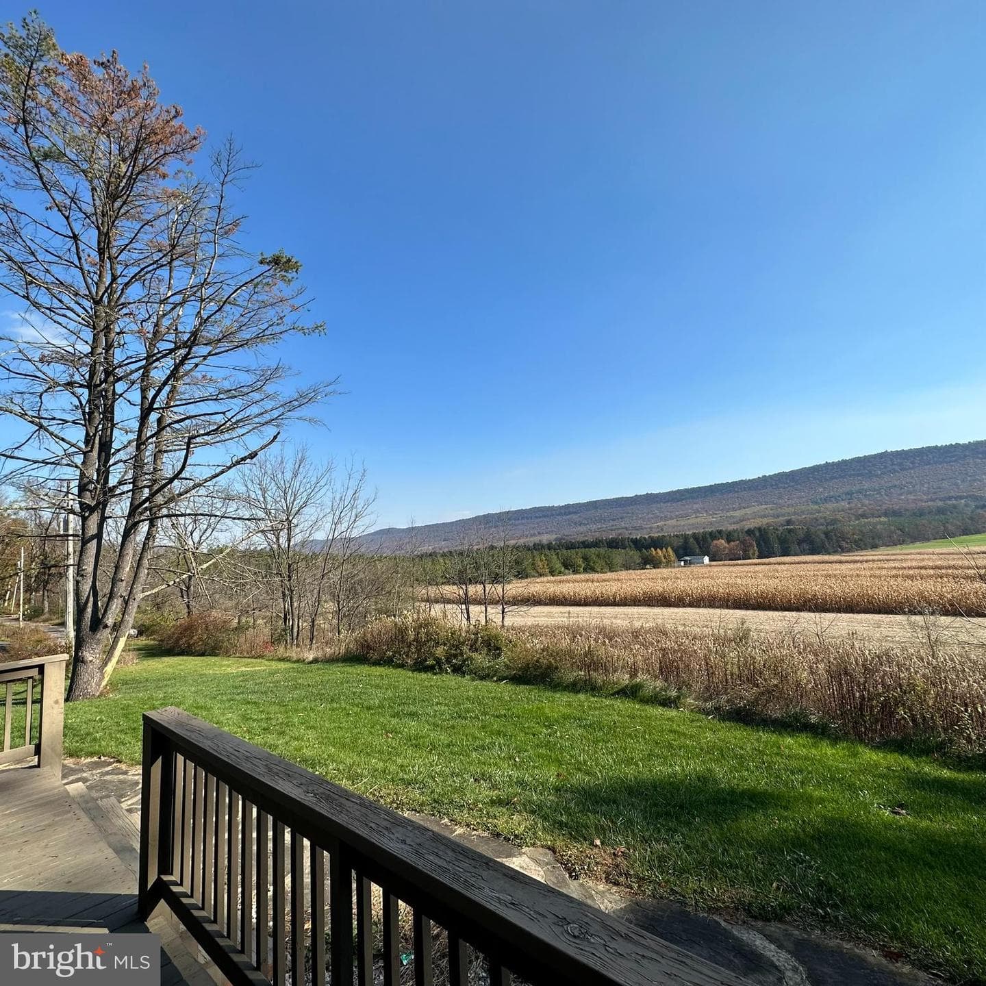 471 Blackberry Lane photo 14