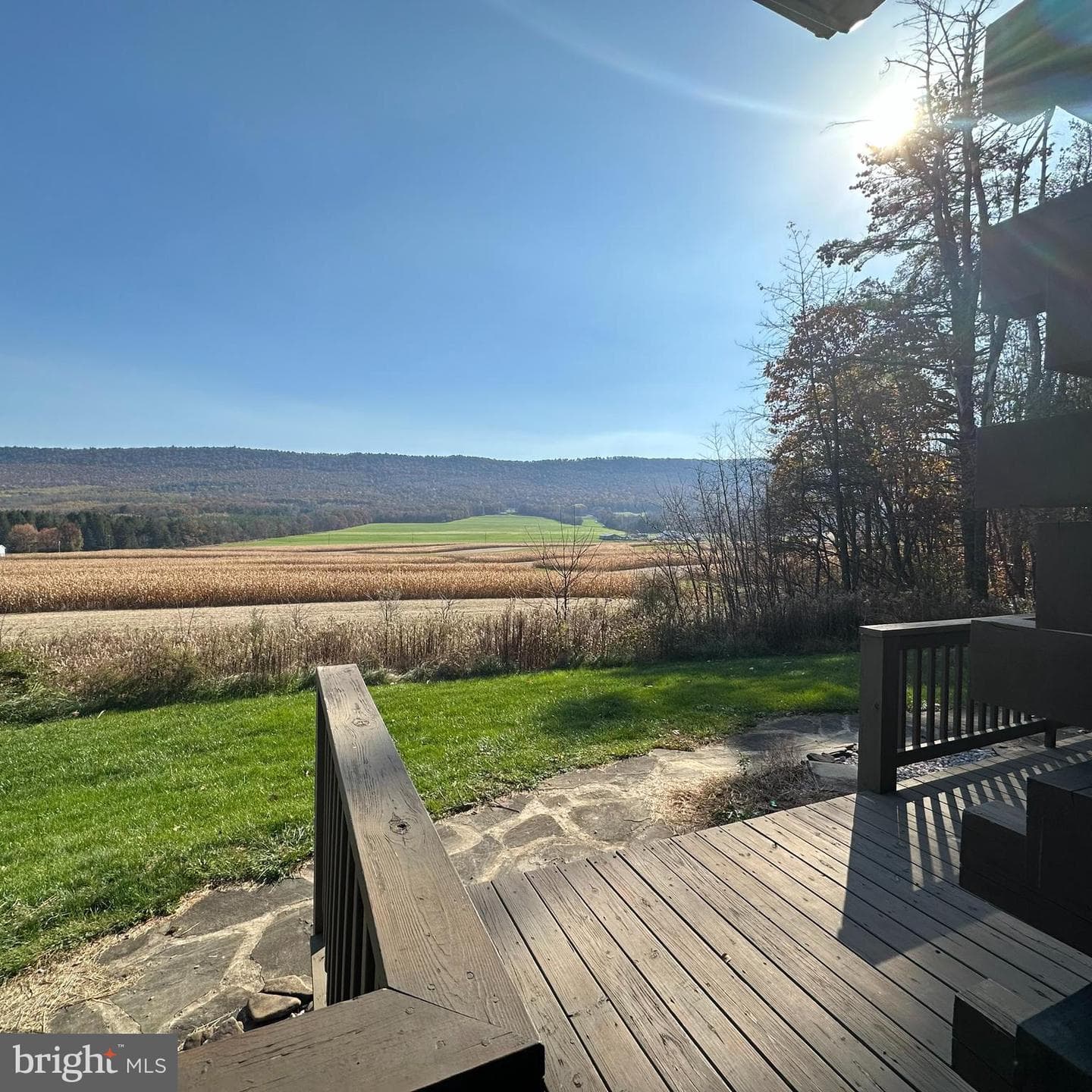 471 Blackberry Lane photo 15