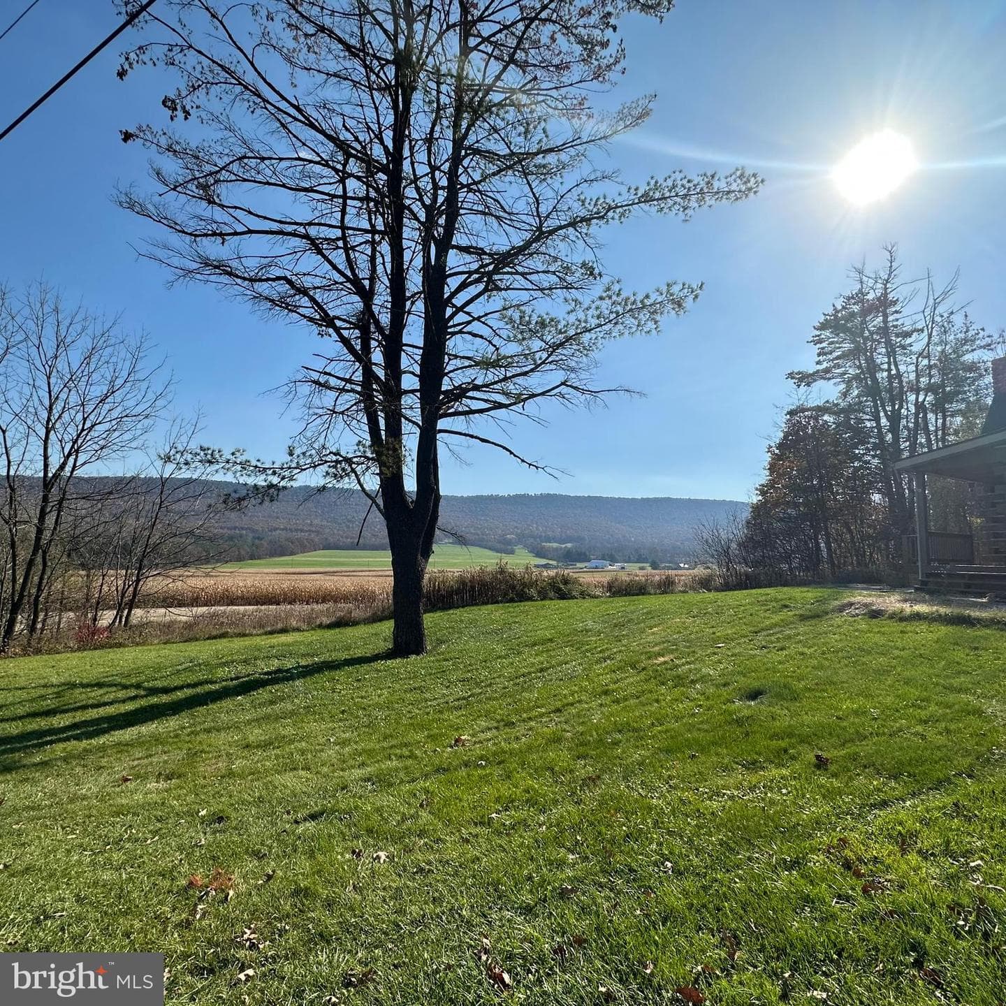 471 Blackberry Lane photo 61