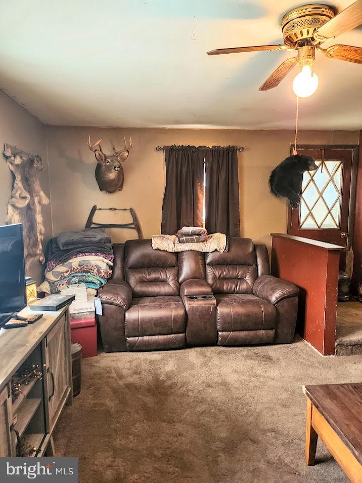150 Poplar Lane photo 16