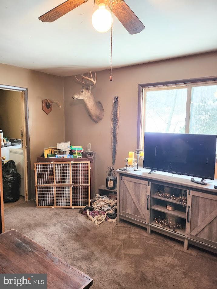 150 Poplar Lane photo 18