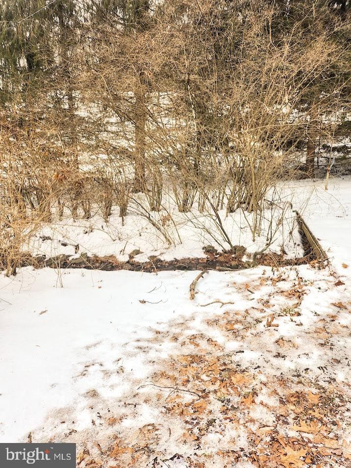 150 Poplar Lane photo 30