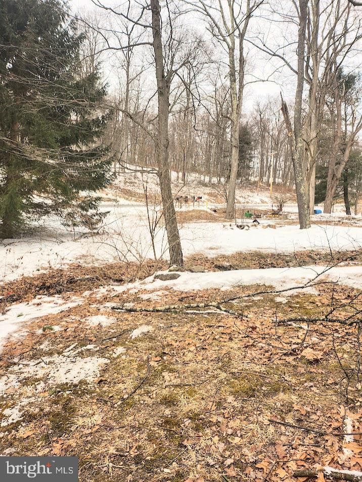 150 Poplar Lane photo 35