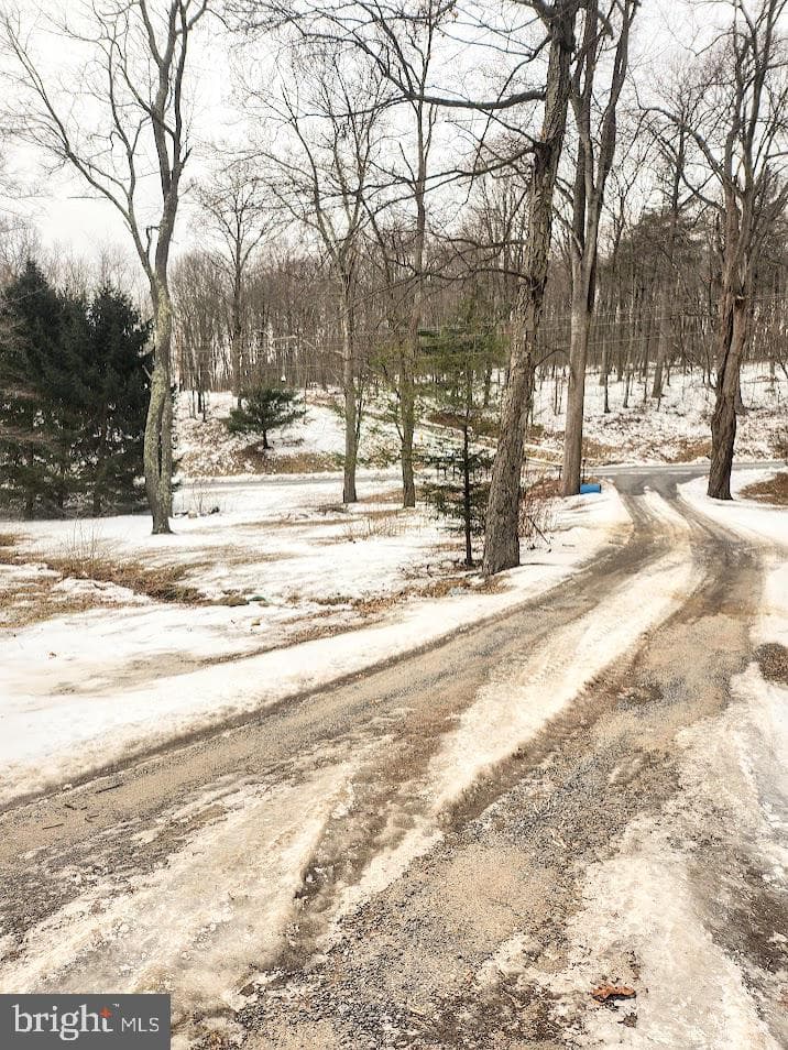150 Poplar Lane photo 39