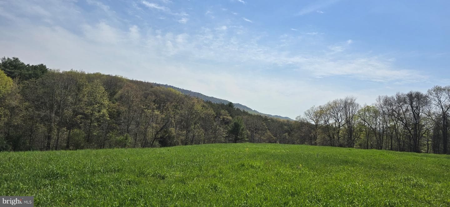 31710 Great Cove Road photo 1