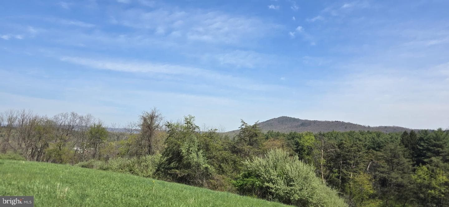 31710 Great Cove Road photo 2