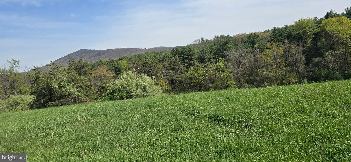 31710 Great Cove Road photo 3