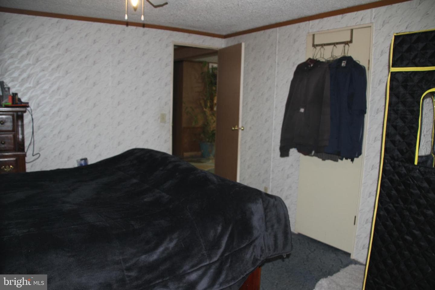 2082 Waterfall Road photo 12