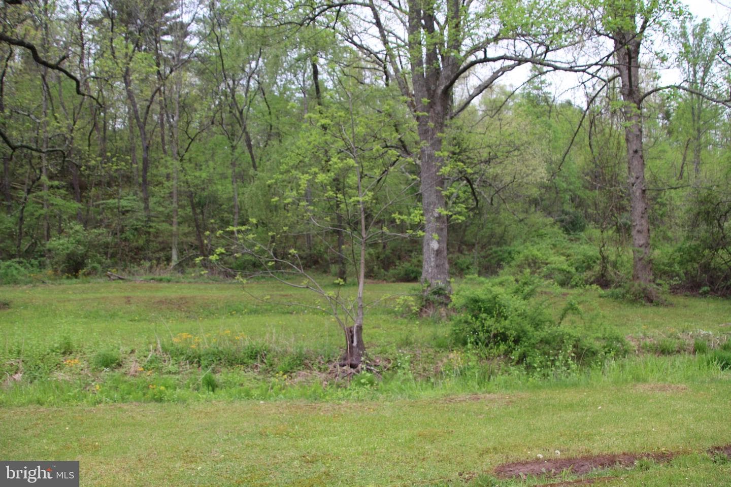 2082 Waterfall Road photo 17