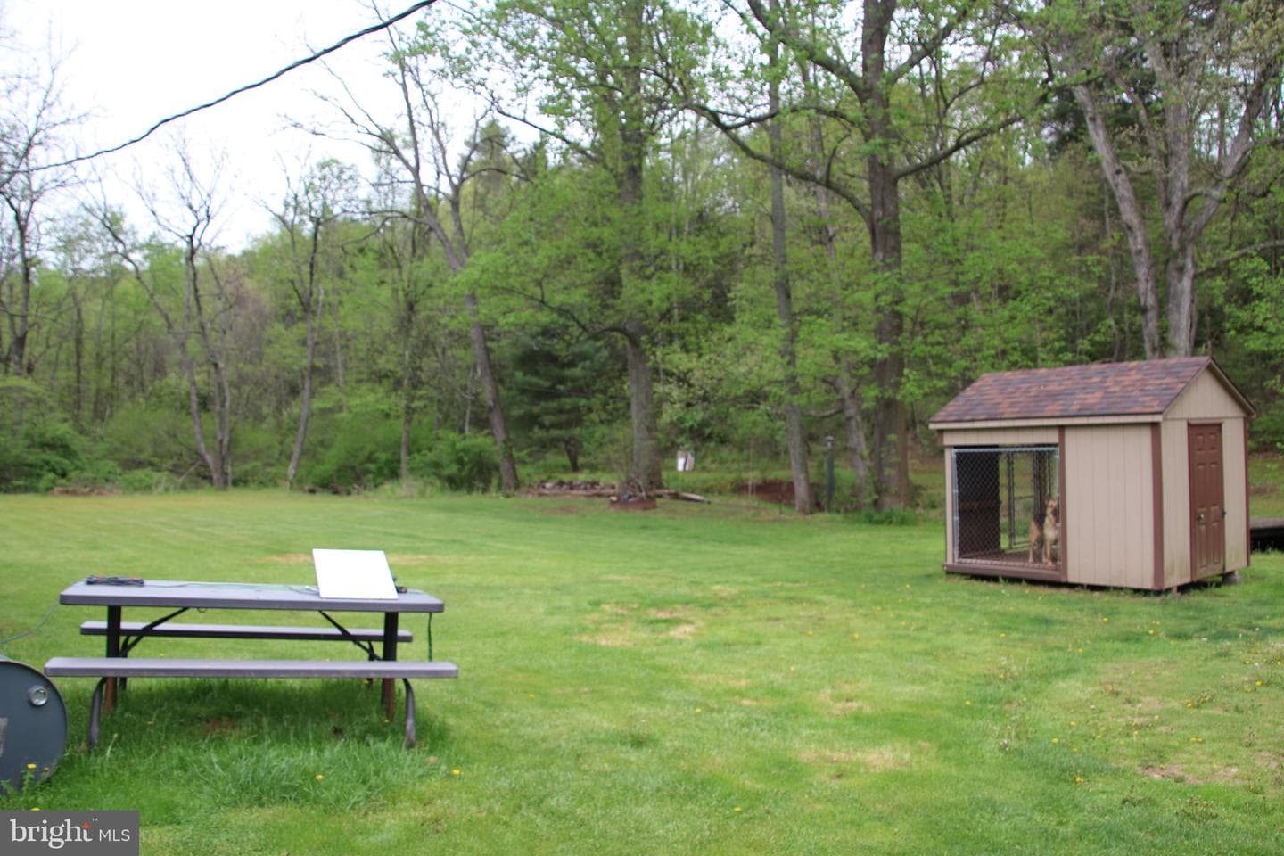 2082 Waterfall Road photo 22