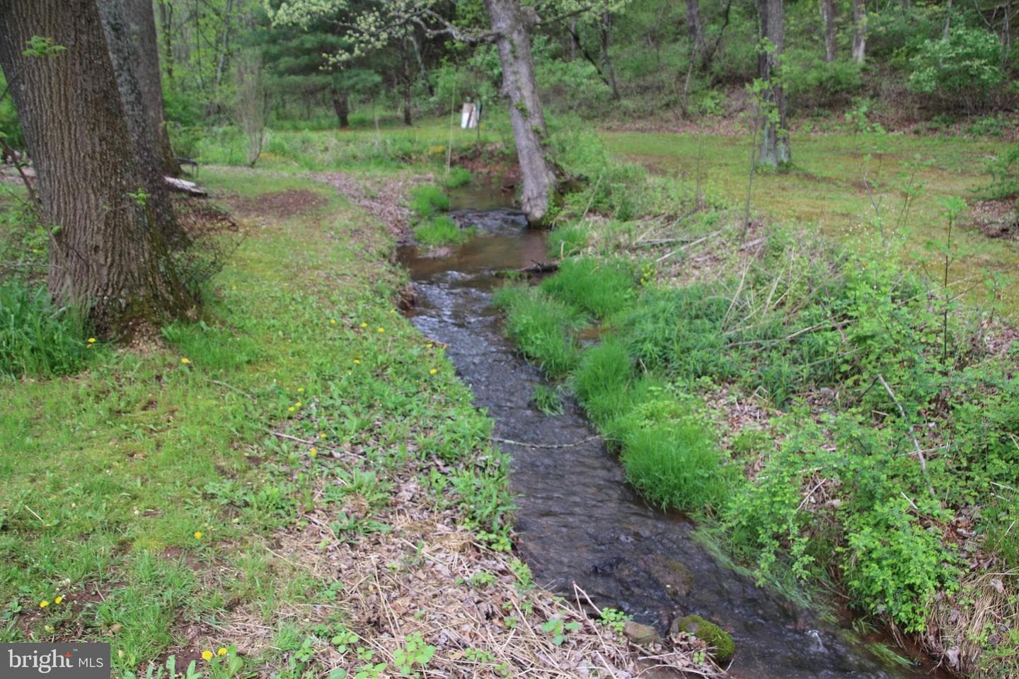 2082 Waterfall Road photo 23