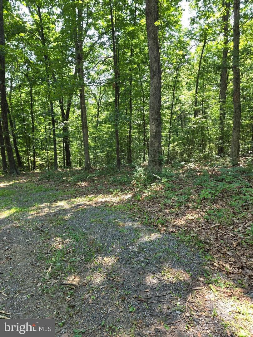 1814 Black Oak Road photo 10