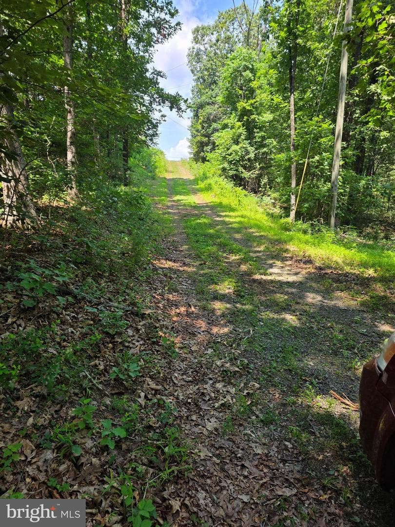 1814 Black Oak Road photo 9