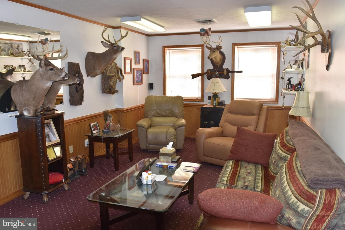 170 Horseshoe Drive photo 5