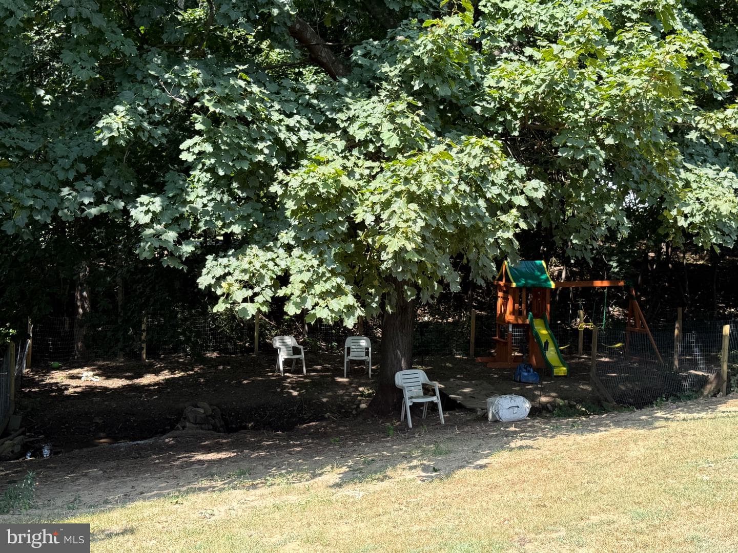 765 Lions Park Drive photo 14