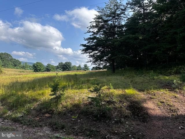 1217 Barton Road photo 41