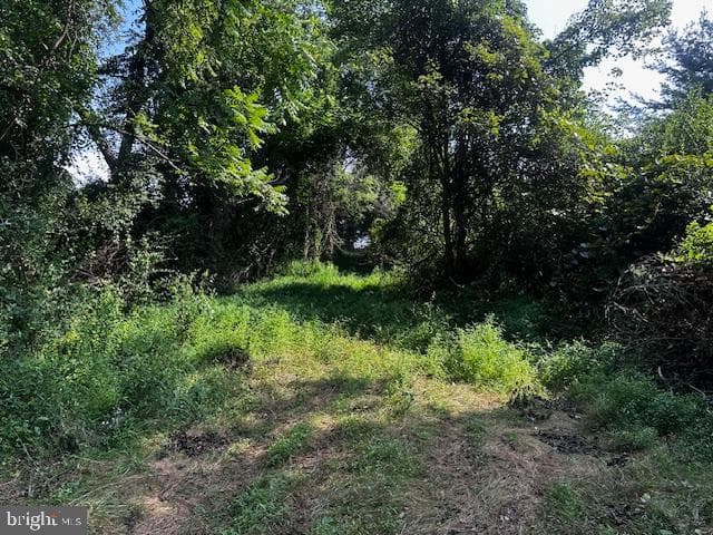 1217 Barton Road photo 59