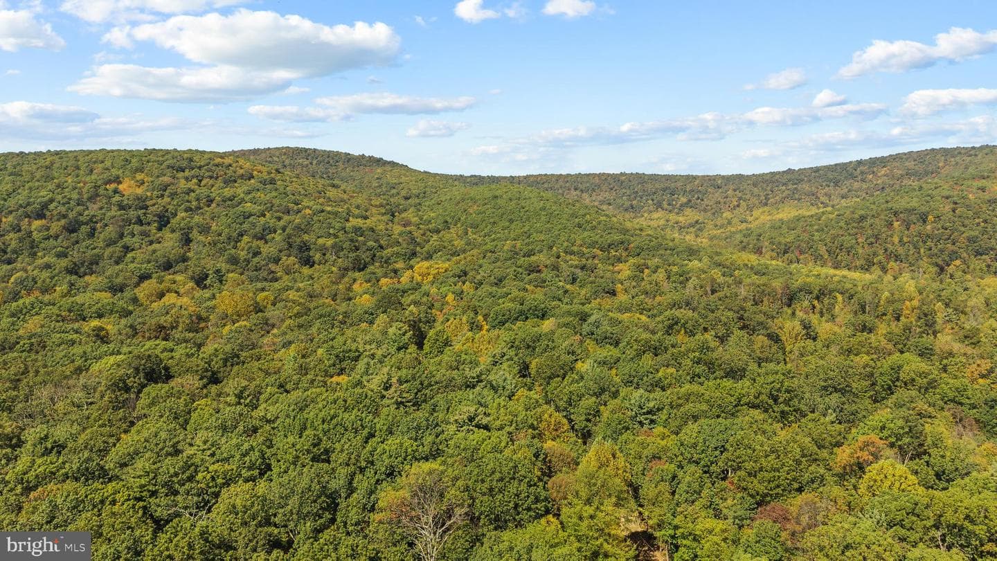 2160 Black Bear Road photo 65