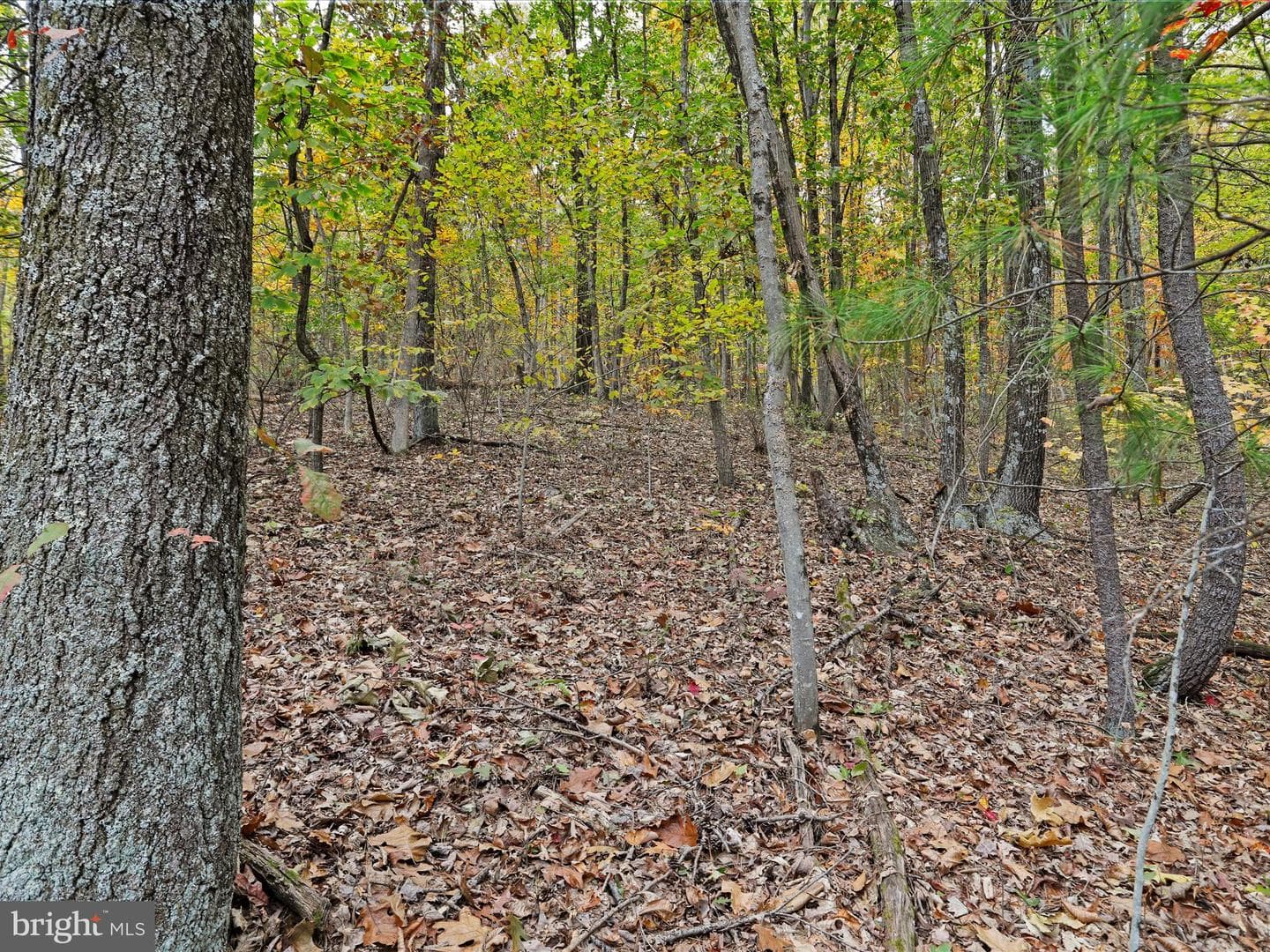 5545 Thompson Road photo 52