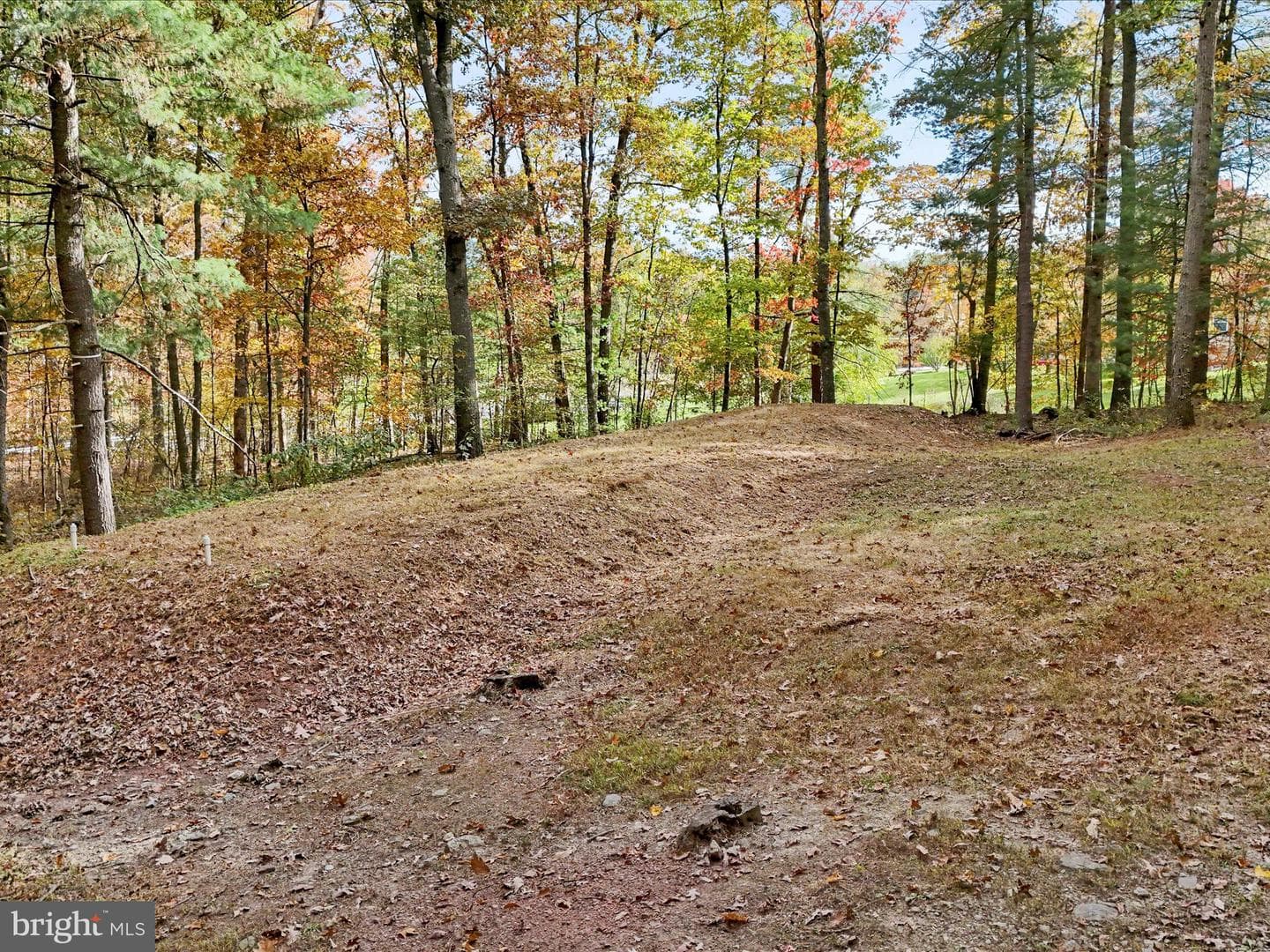 5545 Thompson Road photo 53